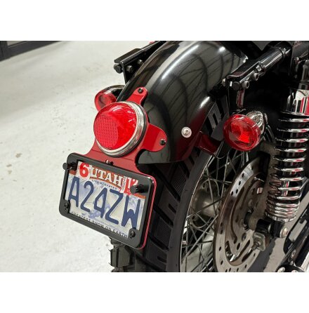 LED Fender Mount Tail Light with Signal Lights - Road King Light