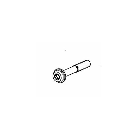 Bolt Mounting Screw