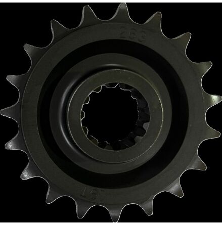 Sprocket Frt 19T 21-23 Ra1250