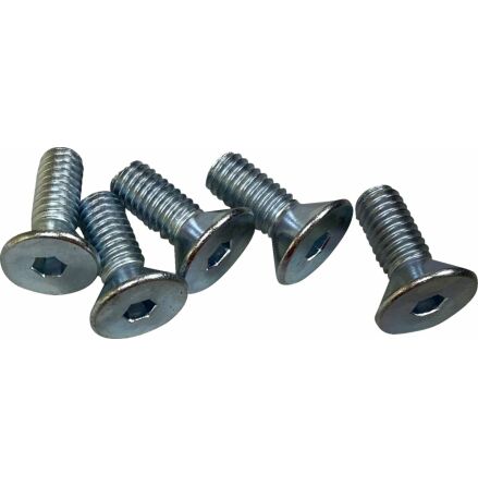 Screws F Rtr 5/16-18Cs