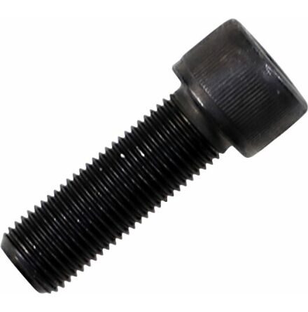 Riser Bolt Socket-Head 1/2"-20X1.5"