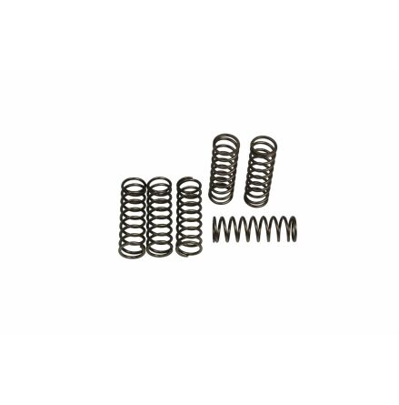 Clutch Spring Kit (6 Pcs)