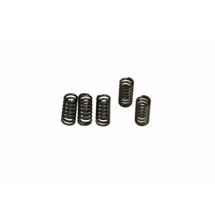Clutch Spring Kit (6 Pcs)