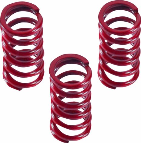 Springs 3Pk F-Sl/Cl