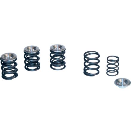 Dual Valve Springs