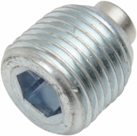 Plug Magn Prmry 1/8"Npt