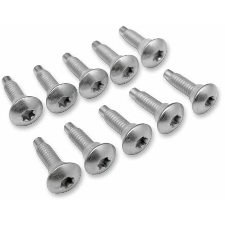 Screw Efi Mnt(1311D) 10Pk