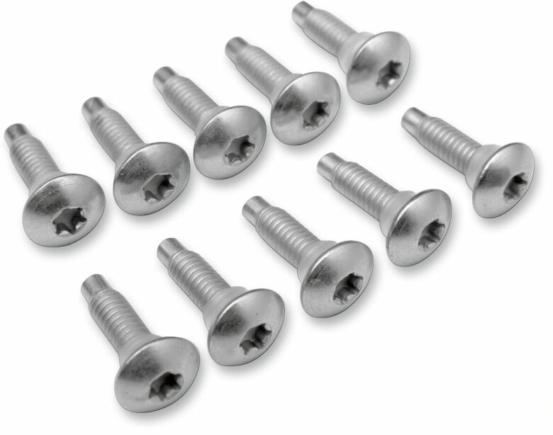 Screw Efi Mnt(1311D) 10Pk