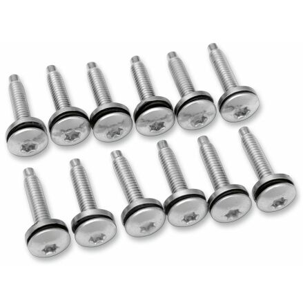 Screw Efi Mnt(1331) 12Pk