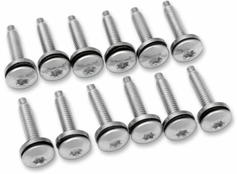 Screw Efi Mnt(1331) 12Pk