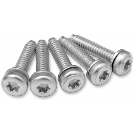 Screw Efi Mnt(1081A) 5Pk