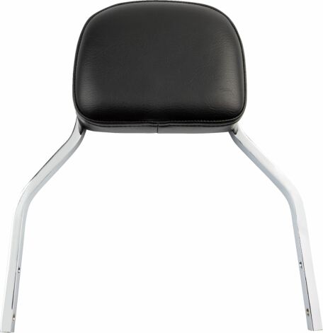 Sissy Bar Mini Stryker