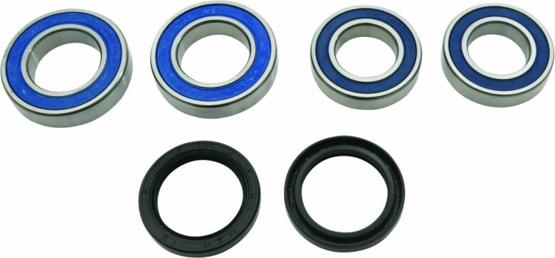 Bearing Kit Wheel Rr Du