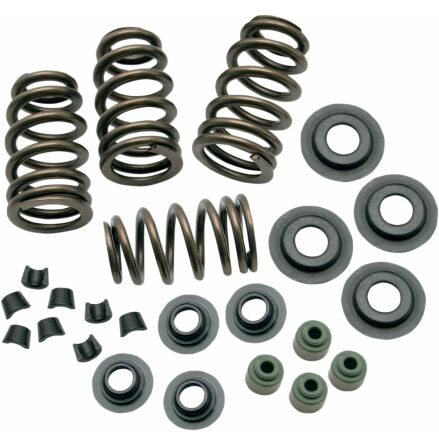 Springs Vlv .650 05-17Tc