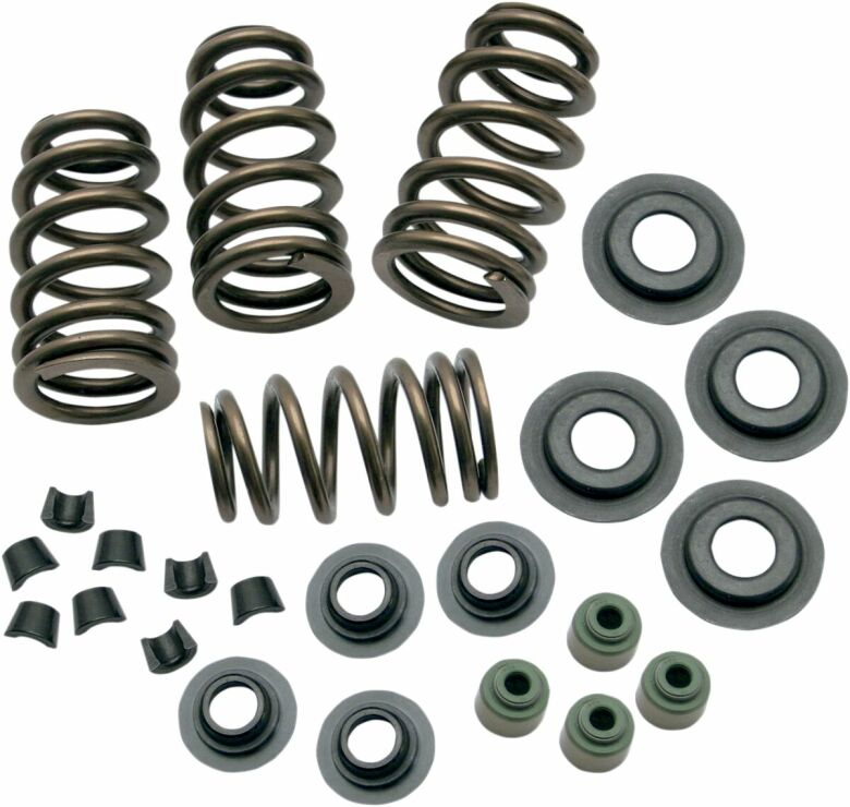 Springs Vlv .650 05-17Tc