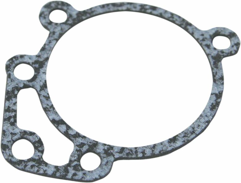 Gasket Bk Plt E/G